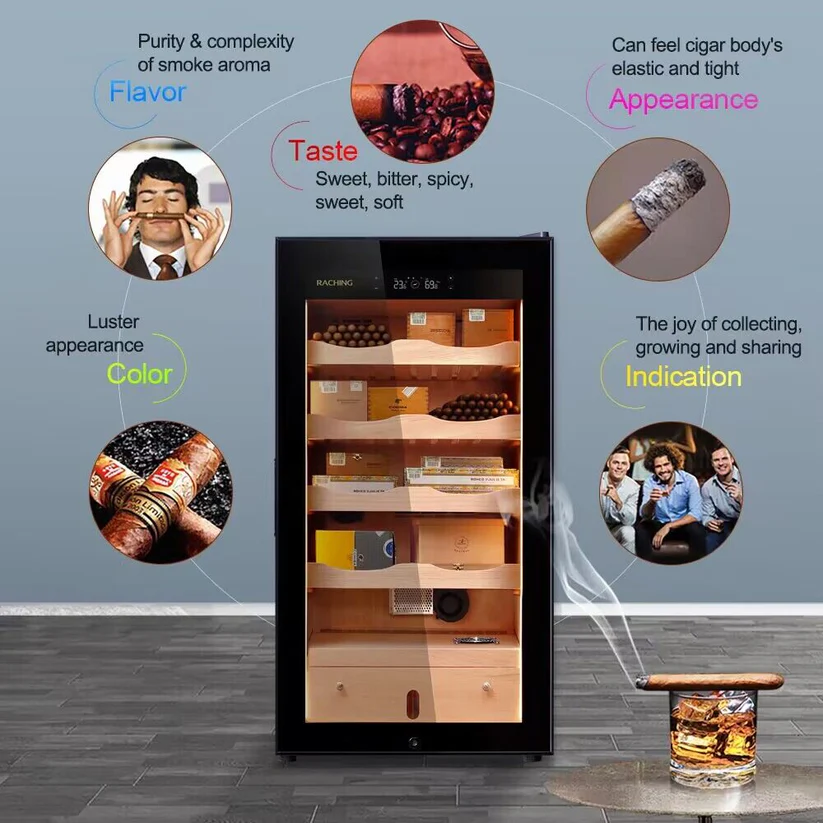 Raching MA50 Climate Control Cigar Humidor