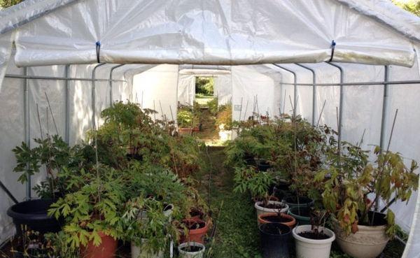 Rhino Shelters 12’W x 12’L x 8’H Greenhouse (House Style)
