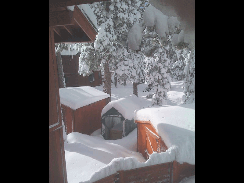 Rhino Shelters 5’W x 10’L x 8’H Storage Shed