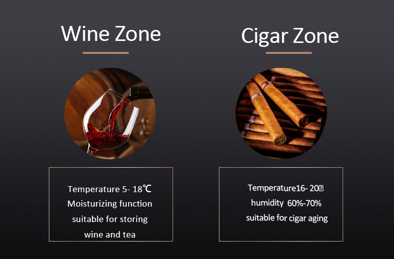 Raching CS600 Electronic Double Door Cigar Humidor Cabinet