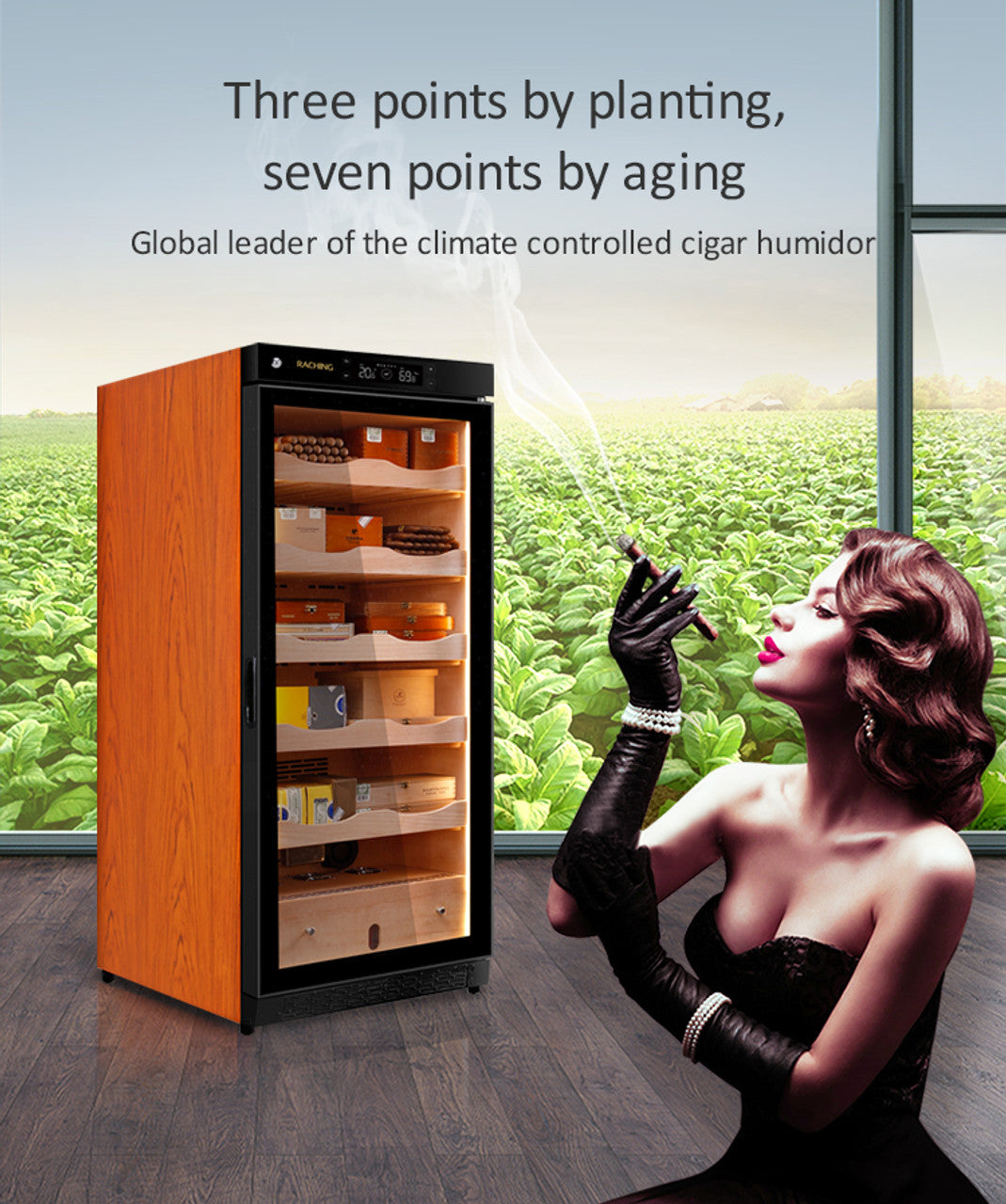 Raching C230A Climate Control Cigar Humidor