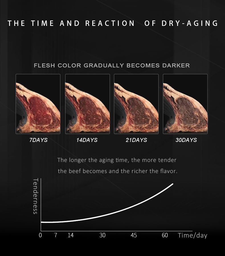 Raching W65A-B Dry Age Fridge